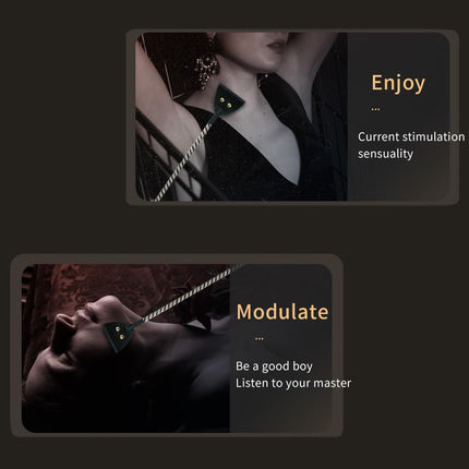 Guspiun Electro Stimulation Sex Paddle BDSM Bondage Fetish Leather Whip Adult Electro Shock Flogger Sex Toy Couples Torture Device Electric Whip SM Erotic Sex Games (B)
