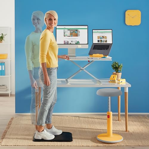 Leitz Ergo Set Active exercise ball, 55 cm, anti-roll function, fabric cover + Leitz height-adjustable laptop stand, notebook stand with 4 heights for 13"-15" notebooks, 65410089 + 64260089