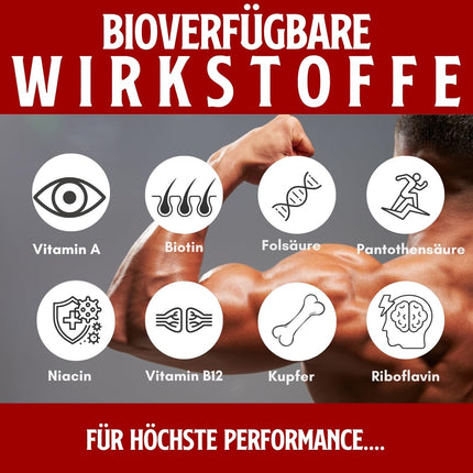 HERZBLUT (90 Capsules) - Powerful synergy for athletes from Beefheart & Beefliver; for energy; performance; blood formation; iron metabolism; 100% German, natural & organic