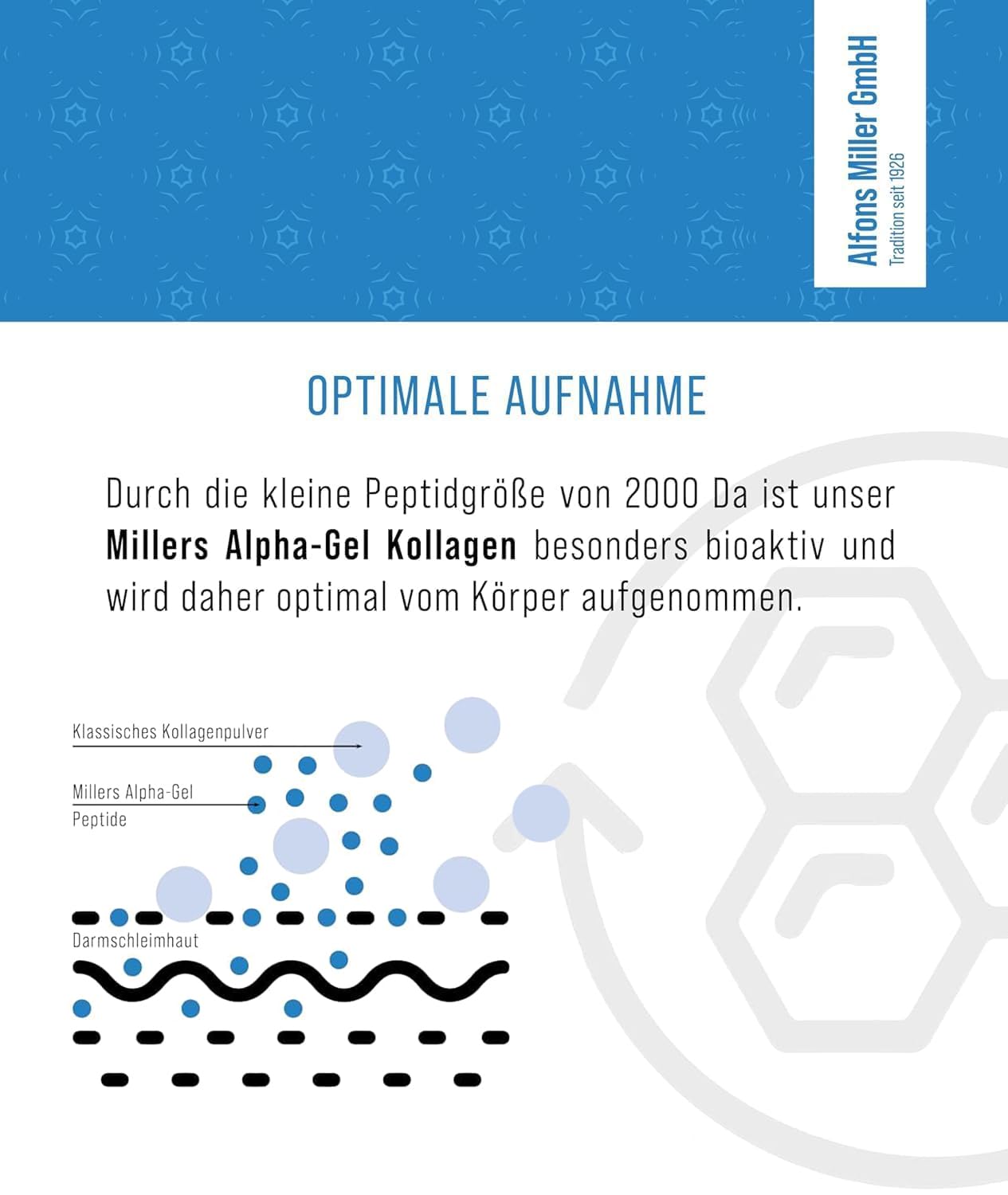 100% reines Kollagen Pulver – Kollagen Peptide – Collagen Protein – Millers Alpha-Gel 1000 g – Ohne Zusatzstoffe – Geschmacksneutral – Collagen Pulver in Deutschland hergestellt