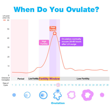Easy@Home 50 Ovulation Tests + 20 Pregnancy Tests Early Test - Sensitive Fertility Tests for Ovulation 25 mIU/ml and Pregnancy Tests with Optimal Sensitivity