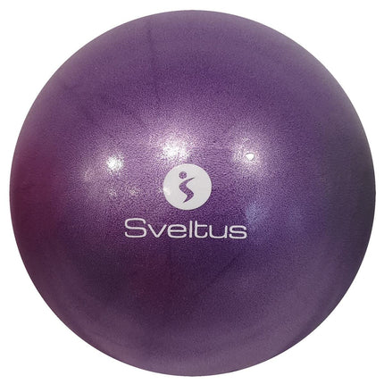 Sveltus Educational Ball, purple, 25 cm