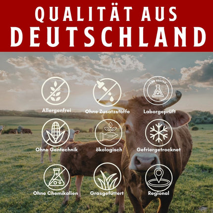HERZBLUT (90 Capsules) - Powerful synergy for athletes from Beefheart & Beefliver; for energy; performance; blood formation; iron metabolism; 100% German, natural & organic
