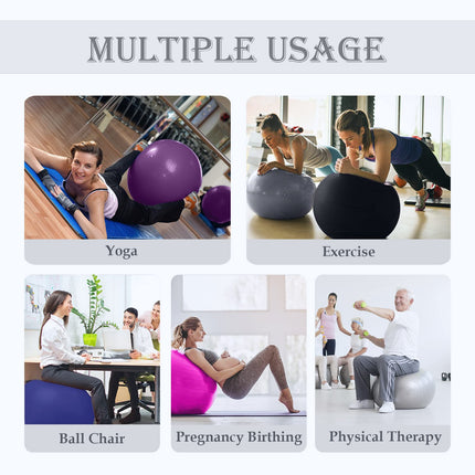 Soft Palla da Pilates Grande, Anti-scoppio Fitball Sostegni 2200lbs, Fit Ball Palloni w/Pompa, Yoga Softball per Fitness Ginnastica Gravidanza Ritmica Fisioterapia Bambina (Ufficio & Casa & Scuola)