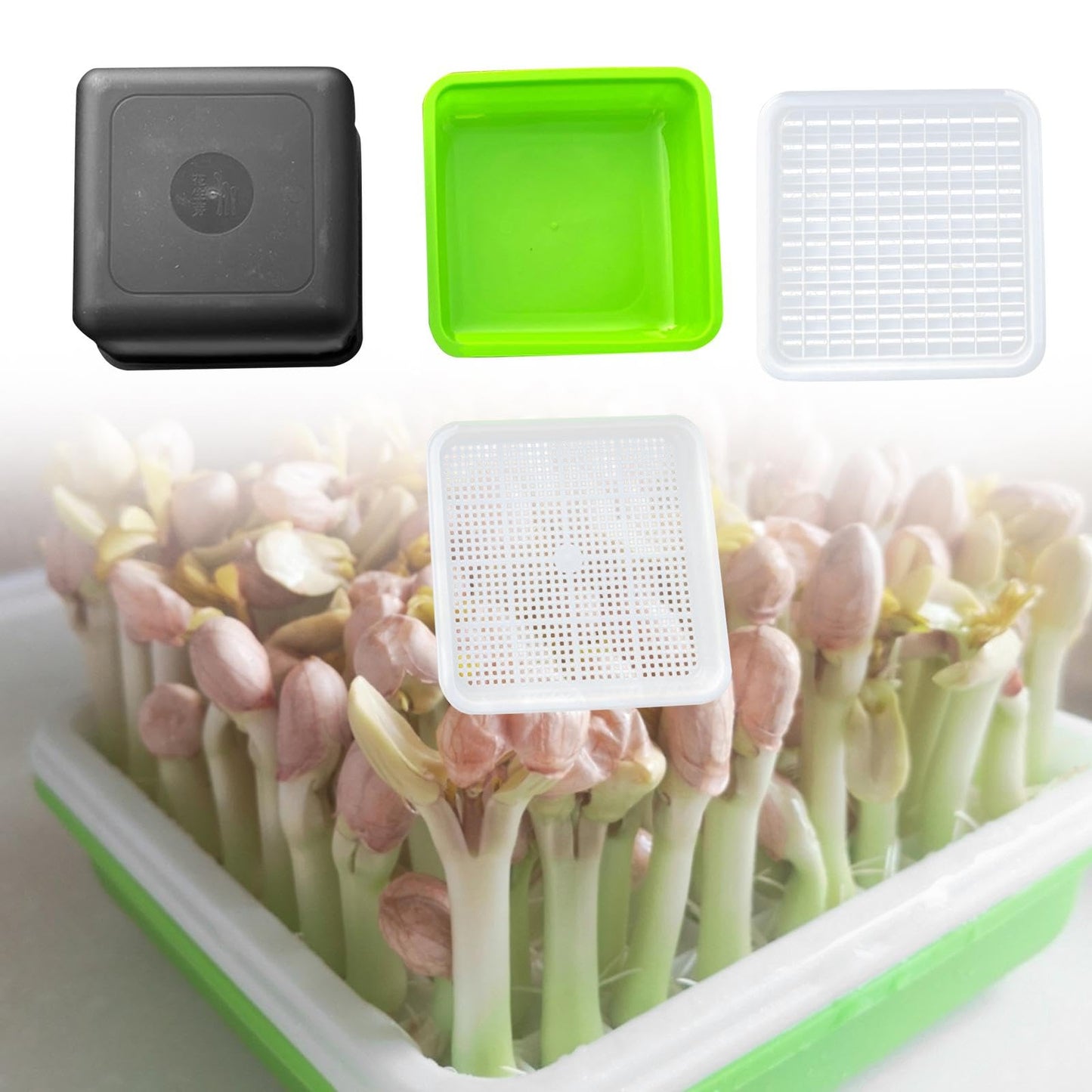 AWHAO Sprout Fall Kindergarten Topf Pflanzung Box Sprout Tablett für Outdoor Garten Gewächshaus, 4 Stück