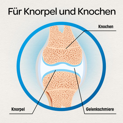 Dr. Böhm Cartilage & Bones: To support cartilage and bones, nutrient combination with vitamins C and D, 120 film-coated tablets