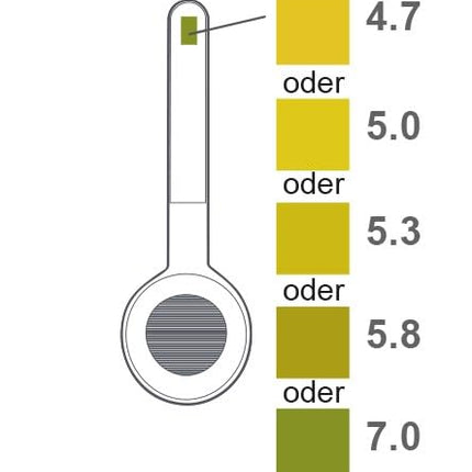 ELANEE Vaginal pH Self-Test for Early Detection of Bacterial Infections and Pregnancy Care, Ruptured Membranes, Bacterial Vaginosis, Bacterial Vaginosis Test, 2 Pieces (735-00)