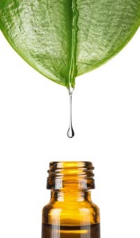 Citric acid ester (Triethyl Citrate), 250ml by Dragonspice Naturwaren, 250ml