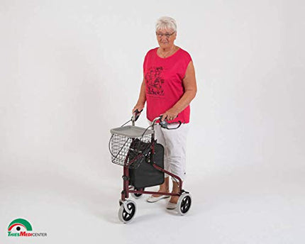 DRIVE Delta Bike Tri Walker