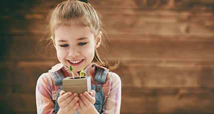 Feel Green 296244 Ecocube Aloe Vera, Sustainable Gift Idea (100% Eco Friendly), Grow Your Own/Cultivation Kit, Plants in a Wooden Cube, Made in Austria