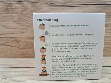Feel Green 296244 Ecocube Aloe Vera, Sustainable Gift Idea (100% Eco Friendly), Grow Your Own/Cultivation Kit, Plants in a Wooden Cube, Made in Austria