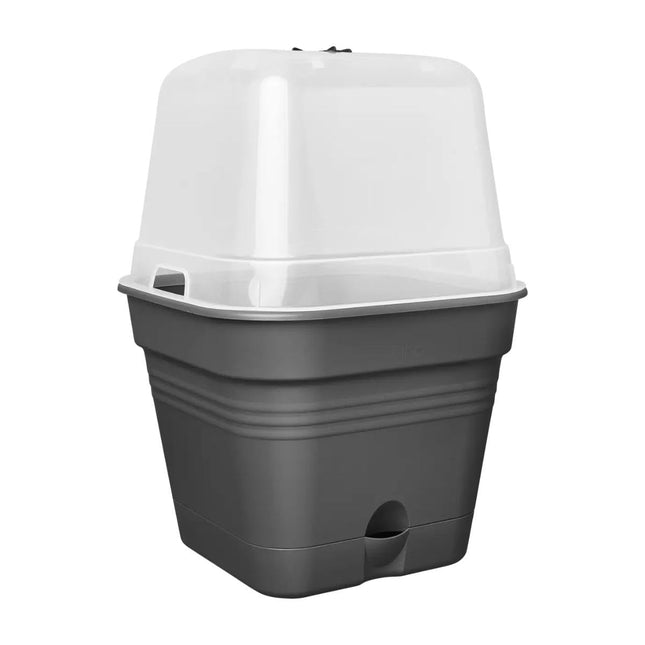 elho Green Basics Grow Pot Square All-in-1 15 - Flowerpot for growing - 100% recycled plastic - Ø 15.0 x H 12.1 cm - Black/Living Black