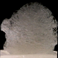 Lecite (Lecithin), Texturas Ferran Adrià, E 322, 300g AROMABOX
