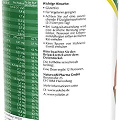Yokebe Classic - Diet Shake for Weight Loss - Gluten-Free and Vegetarian - Meal Replacement for Weight Loss with High-Quality Proteins - 500 g = 12 Servings