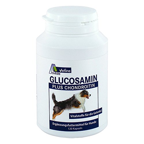 GLUCOSAMINE+CHONDROITIN Capsules for Dogs 120 pcs