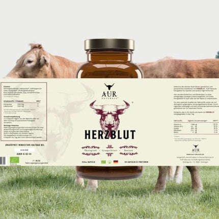 HERZBLUT (90 Capsules) - Powerful synergy for athletes from Beefheart &amp; Beefliver; for energy; performance; blood formation; iron metabolism; 100% German, natural &amp; organic