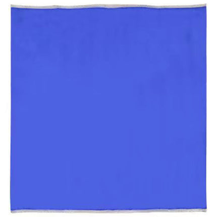 CARISSETT Nylon Reusable Patient Transfer Sheet for Bedridden, Elderly, and Disabled Patients