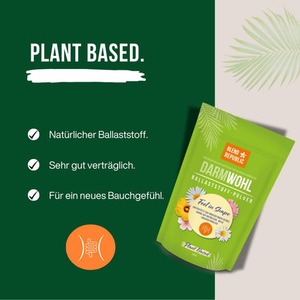 BLEND REPUBLIC® Darmwohl Fiber Powder for Essential Bacteria Strains - Probiotics Prebiotic Powder - Intestinal Flora Building Vegan, 300g
