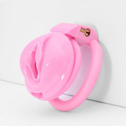 BDSMLOVE Penis Cage with Labia, Flat Chastity Cage Male Small, Chastity Cage for Men, Sex Toy Set for Men, Chastity Belt for Men, Penis Cage with 4 Cock Rings Extreme (M)