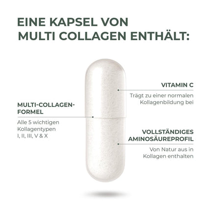 Primal Harvest ® Multi-Collagen - 120 Collagen Capsules High Dosage - Premium Collagen Complex - GMP-certified &amp; made in Germany - Gluten- &amp; soy-free