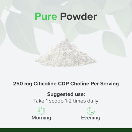 Citicoline CDP-Choline Powder 25g – Support for cognitive function &amp; memory – Pure ingredients, GMO &amp; gluten-free by Raw Powders