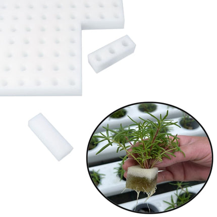 Zasvec Hydroponic Sponge 200 Pieces Greenhouse Garden Tool Seedling Sponges Hydroponic Sponges Hydroponic Grow Kit Hydroponic Sponge for Plant Growth 25 * 25 * 25mm
