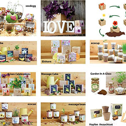 Feel Green 296244 Ecocube Aloe Vera, Sustainable Gift Idea (100% Eco Friendly), Grow Your Own/Cultivation Kit, Plants in a Wooden Cube, Made in Austria