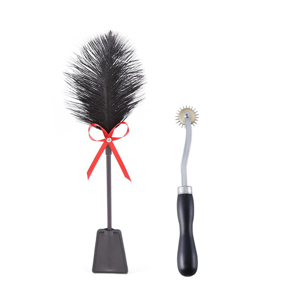 Feather tickler 2-in-1, SM sex toy, sex toy feather flirting feather tickler paddle crop soft whip, pinwheel flirting for couple exquisite