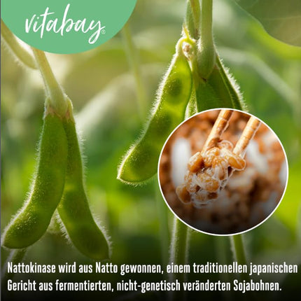 Vitabay Nattokinase Capsules High Dose 20,000 FU - Liposomal &amp; Vegan - 180 Nattokinase Capsules - Enzyme Natto Fermented Soybeans - Nattokinase High Dose Tablets Natokinase L