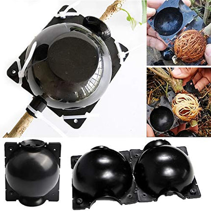 Ianulus Plant Rooting Ball, 4 Pieces Plant Root Growing Box, Plant Rooting Device, Plant Root Booster Device for Plant Transplantation, Root Formation, Asexual Reproduction (Black)
