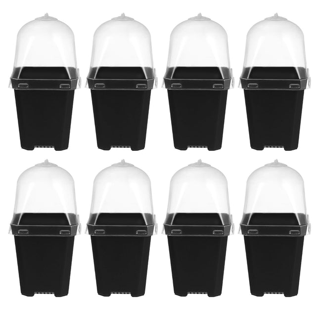 Mini Flower Pot Growing Pots With Dome: 10 Pieces Indoor Greenhouse Growing Set Dome Plants Plant Pots Windowsill Greenhouse Plastic Growing Trays Plant Pot for Plants