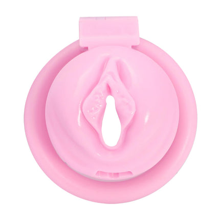 BDSMLOVE Penis Cage with Labia, Flat Chastity Cage Male Small, Chastity Cage for Men, Sex Toy Set for Men, Chastity Belt for Men, Penis Cage with 4 Cock Rings Extreme (M)