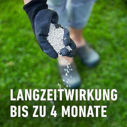 COMPO lawn fertilizer with long-term effect - No chance for moss and weeds - 1.5 kg for 60 m² - COMPO Lawn Long-Term Fertilizer Perfect