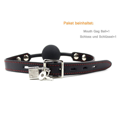 Hisionlee BDSM Mouth Gag Ball Interchange Silicone Ball Gag with Lock Key (Black Ball Line)