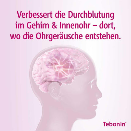 Tebonin intens 120 mg | 30 tablets | for acute &amp; chronic tinnitus* | herbal medicine with Ginkgo Biloba extract | supports tinnitus* &amp; dizziness | with Ginkgo special extract