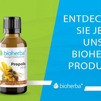 Propolis drops alcohol-free – 50 ml tincture with vitamin B6 – herbal food supplement from BIOHERBA PZN 17187037