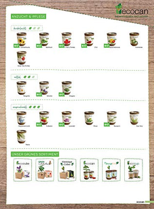 Feel Green Ecocan, Lucky Clover, Sustainable Gift Idea (100% Eco Friendly), Grow Your Own/Growing Kit, The Growing Eco-Can, Made in Austria