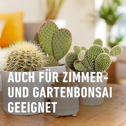 COMPO Cactus and Succulent Fertilizer 250 ml, Cactus Fertilizer