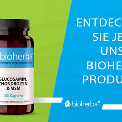 Glucosamine Chondroitin MSM + Zinc – 100 capsules with zinc for normal bone function and cell protection from BIOHERBA PZN 17190938