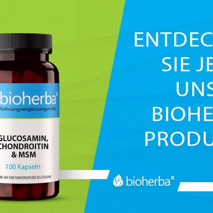 Glucosamine Chondroitin MSM + Zinc – 100 capsules with zinc for normal bone function and cell protection from BIOHERBA PZN 17190938