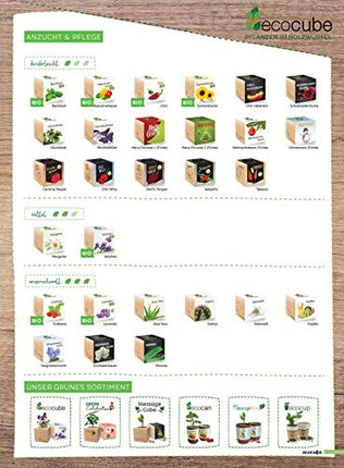 Feel Green 296244 Ecocube Aloe Vera, Sustainable Gift Idea (100% Eco Friendly), Grow Your Own/Cultivation Kit, Plants in a Wooden Cube, Made in Austria