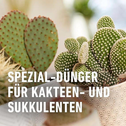 COMPO Cactus and Succulent Fertilizer 250 ml, Cactus Fertilizer
