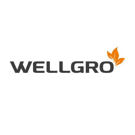 WELLGRO Mini Greenhouse including 6 plant labels - for up to 12 plants - approx. 19x14.5x11cm per indoor greenhouse, plastic/cellulose - quantity selectable, quantity: 3 pieces