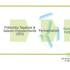 gesundo Tagatose-Galactose Powder - 100% natural sugar alternative - 1kg bag