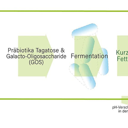 gesundo Tagatose-Galactose Powder - 100% natural sugar alternative - 1kg bag