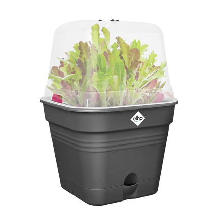 elho Green Basics Grow Pot Square All-in-1 15 - Flowerpot for growing - 100% recycled plastic - Ø 15.0 x H 12.1 cm - Black/Living Black