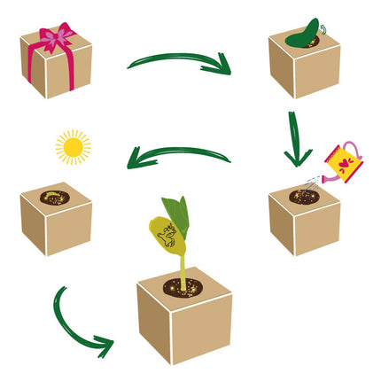 Grow Your Own Unicorn Bean, Wooden Cube with Laser Engraving "You Are Magical," Sustainable Gift Idea, Growing Kit, Ecocube, Made in Austria