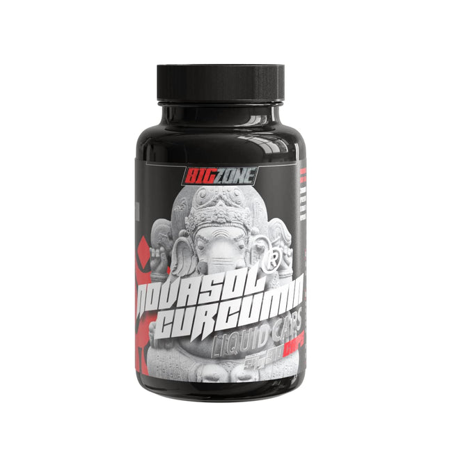 Big-Zone Curcumin Curcuma (turmeric) NovaSol® Curcumin Made in Germany | 90 liquid capsules