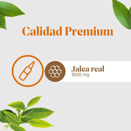Arkoreal Jalea Fresca Fte Plus 1500Mg 20