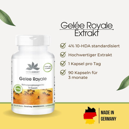 Royal Jelly Extract 500mg - 90 Capsules, 4-fold concentrated from 2000mg Royal Jelly - High Dosage | HERBADIREKT by Warnke Vitalstoffe - German Pharmacy Quality